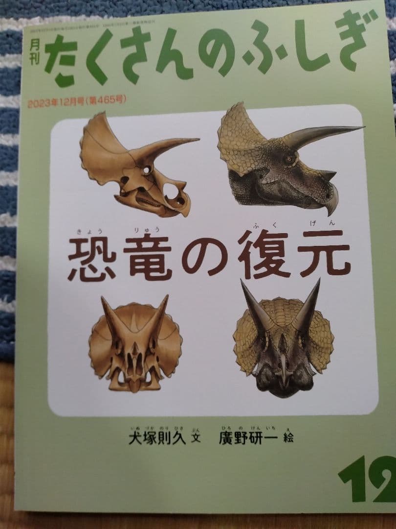 たくさんのふしぎ 2023年版12冊セット