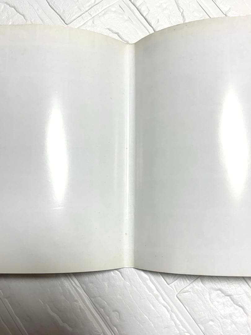 【本日限定価格！】SHINTARO SAKAMOTO ARTWORKS