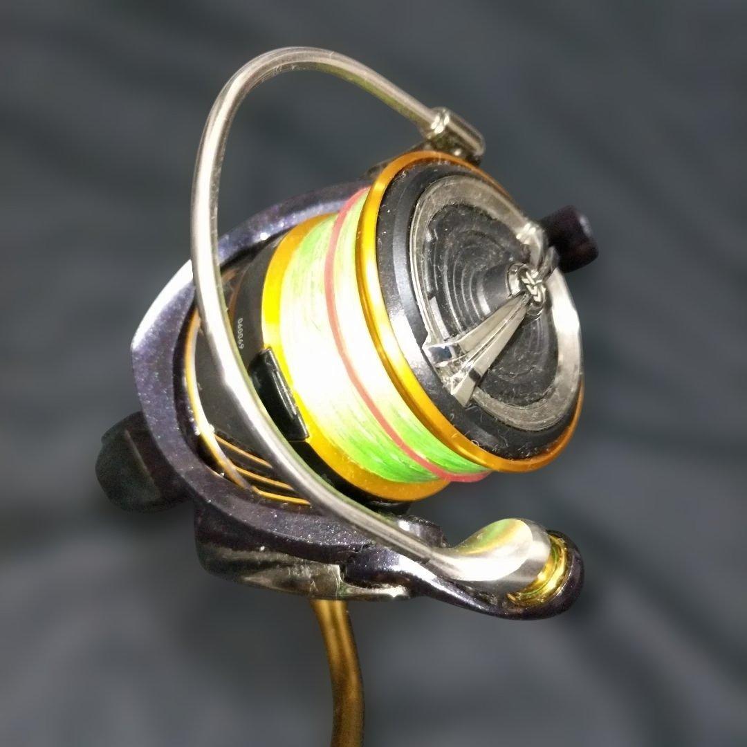 ダイワ Daiwa 20 レブロス LT4000-CH