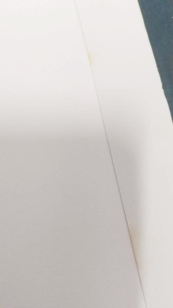 宮脇綾子のアプリケⅠ　Ⅱ　作品集　カード　豊田市美術館　アップリケ　図録