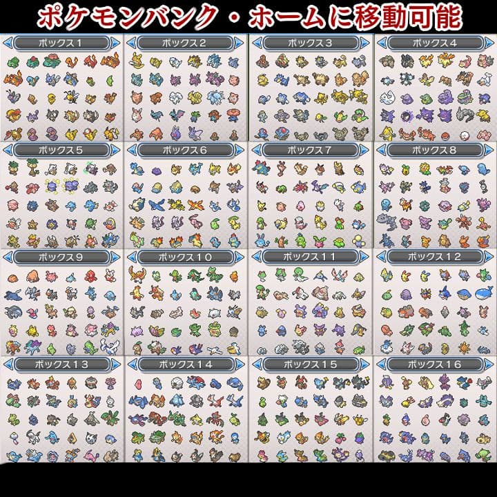 ポケットモンスター　ウルトラムーン　【ウルトラサンムーン】ポケモン　3DS　22