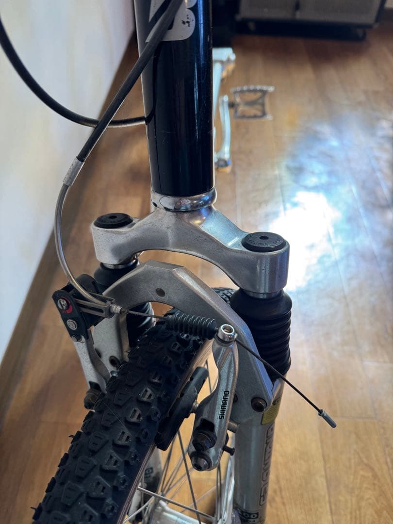 BRIDGESTONE TRANSIT トランジット カーボン T20CX