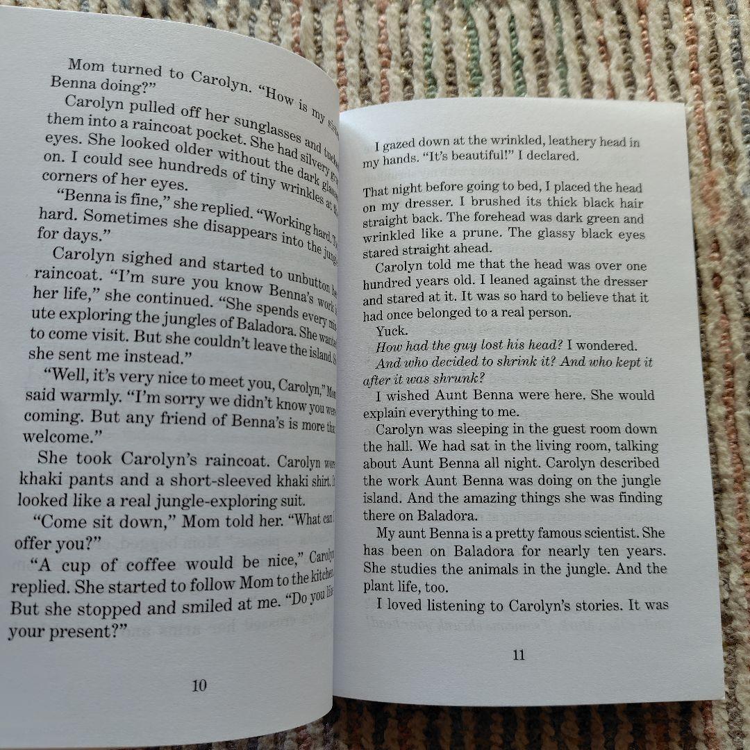 トマギ  bumps R.L.Stine 10冊セット