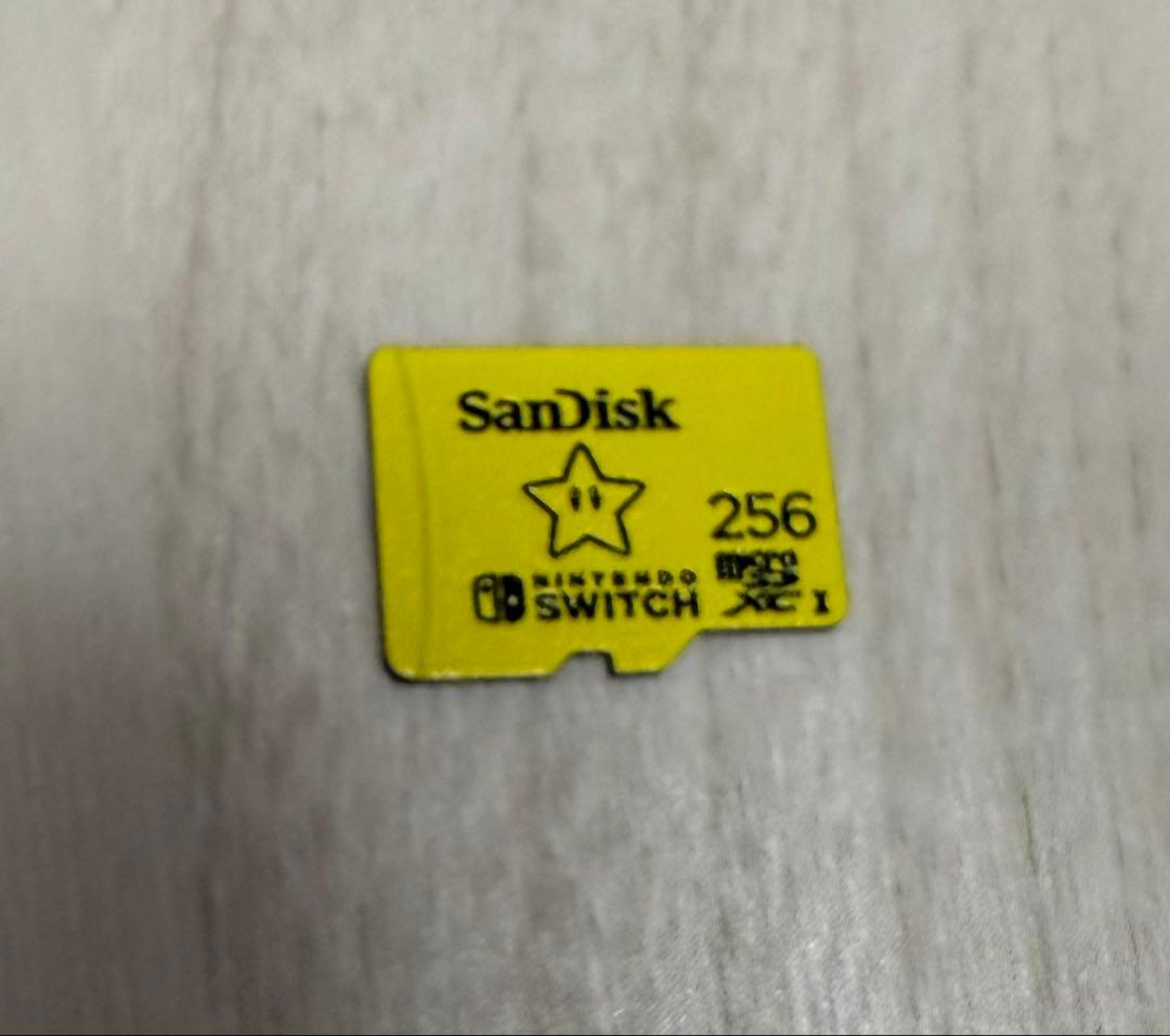 任天堂 Nintendo Switch あつまれ どうぶつの森セット