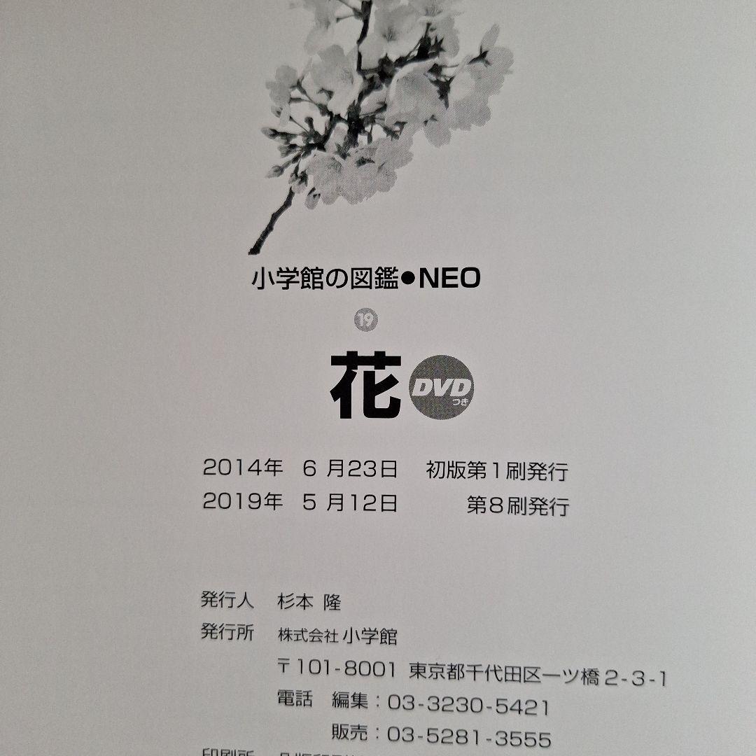 るり　小学館　図鑑　NEO 魚　他　全5冊