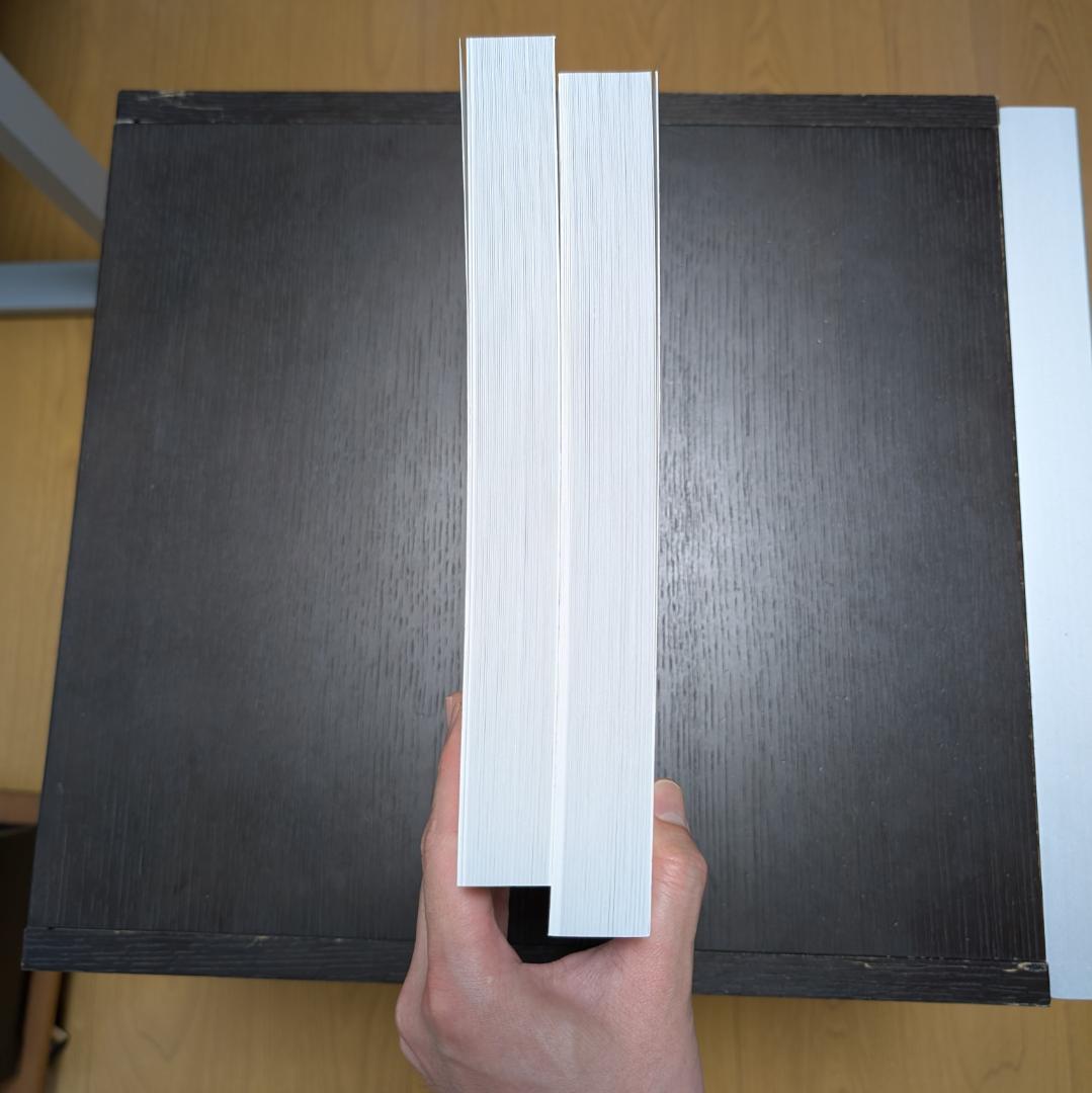 葬送のフリーレン 総作画監督&アクションディレクター仕事集 2冊セット