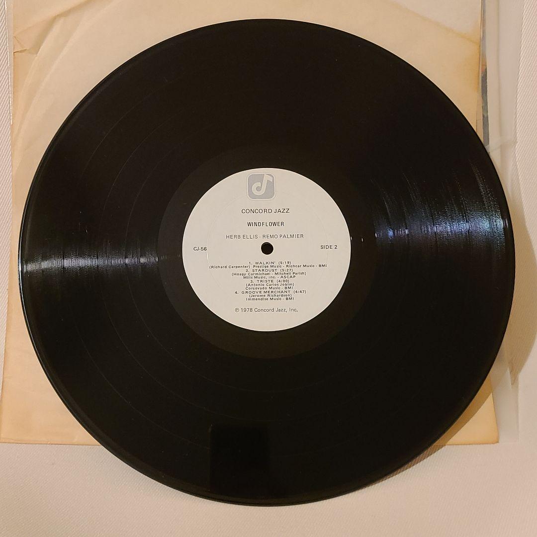 【USオリ】Windflower Herb Ellis Remo Palmier