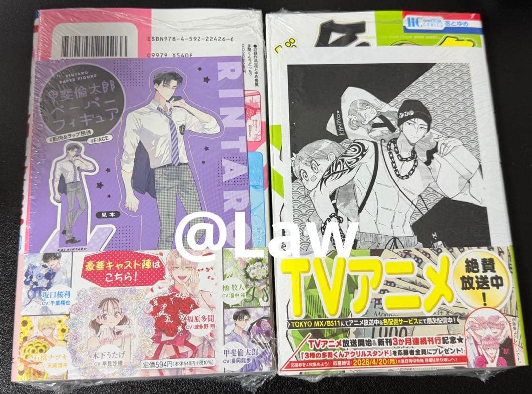 多聞くん今どっち1〜13巻　セット 13巻の応募券あり 師走ゆき　コミック