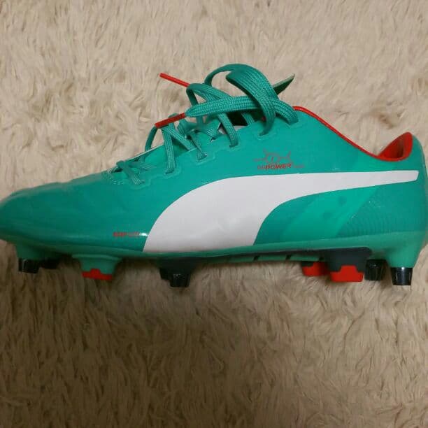 エヴォパワー1　ミックス