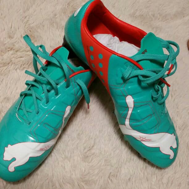 エヴォパワー1　ミックス