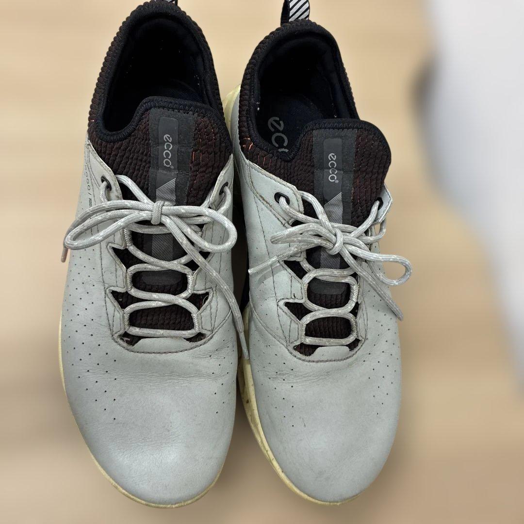 ECCO Golf Biom C4 Men エコーバイオムＣ４　39 27センチ