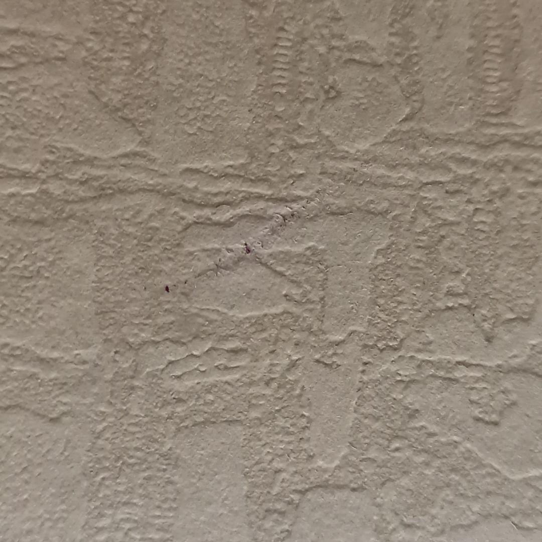 【高畠華宵名画大集】豪華限定版 講談社刊