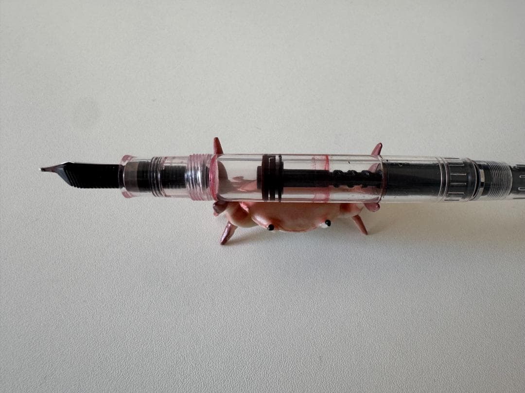 Pelikan ペリカン 万年筆 B太字 デモンストレーター M205 M200