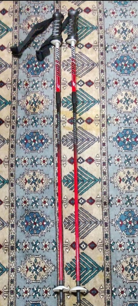 OGASAKA DEMO S スキー ストック 赤黒