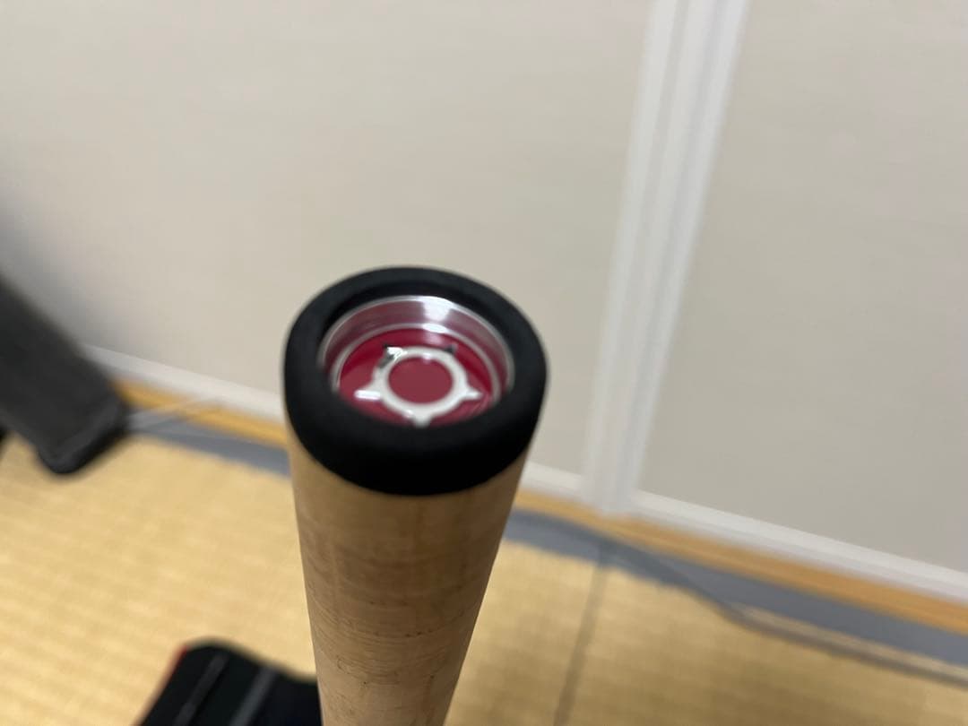 FISHMAN Beams blancsierra 5.2UL【美品】