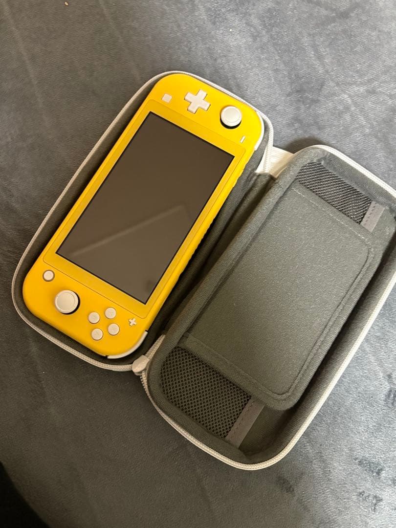 Nintendo Switch Lite 充電器・ケース・あつ森ソフト付き