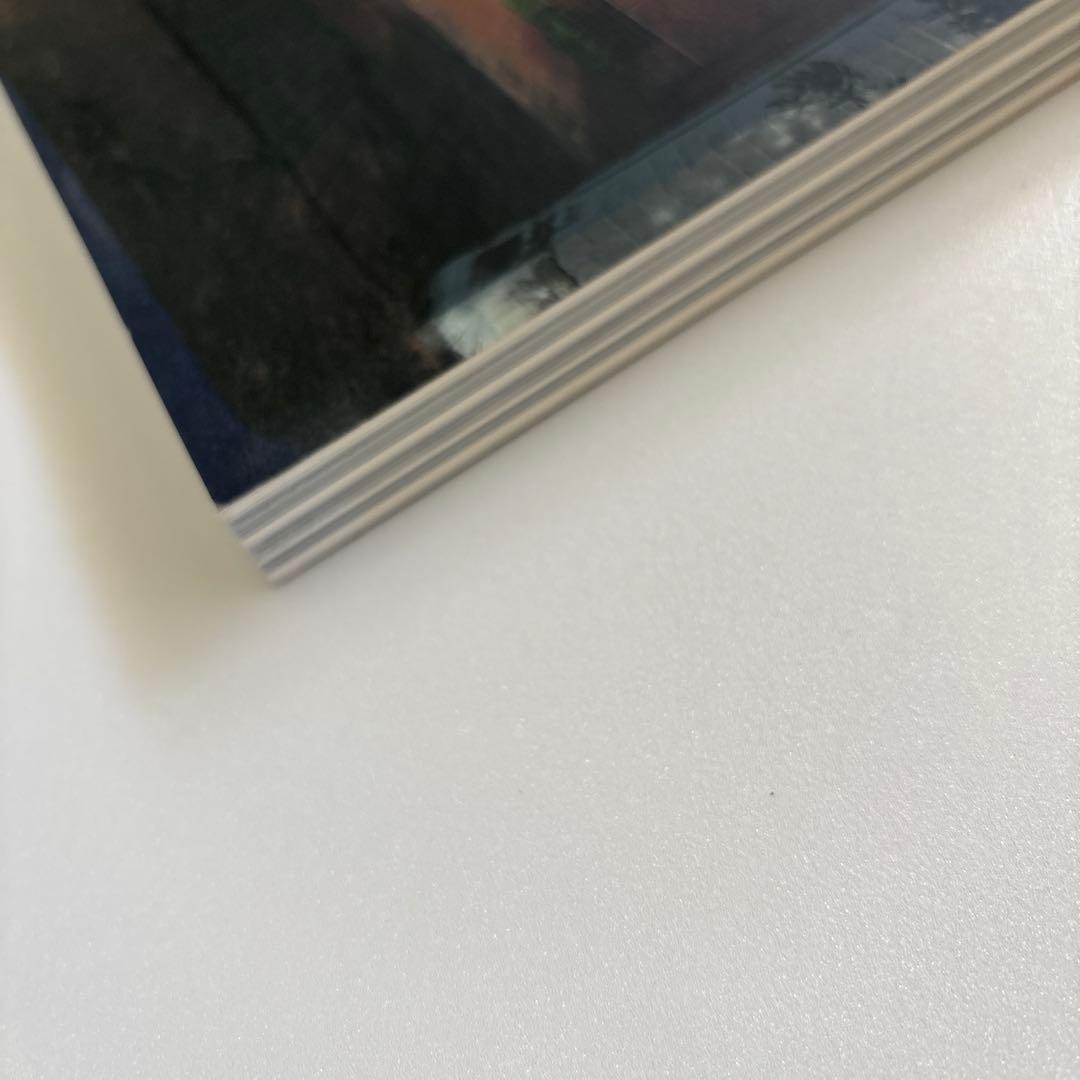 a+u 1998年6月臨時増刊　アルヴァ・アアルトの住宅 その永遠なるもの