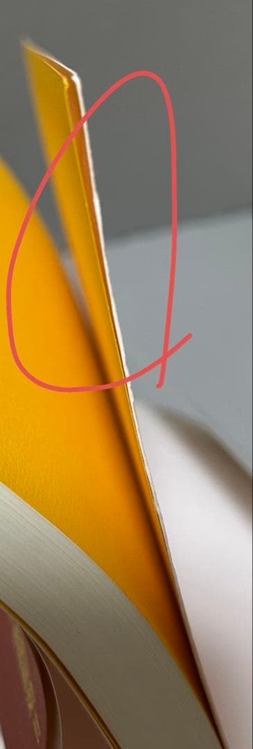 元祖 野菜スープ強健法 ガン細胞も3日で消えた⁉︎ 立石 和 徳間書店