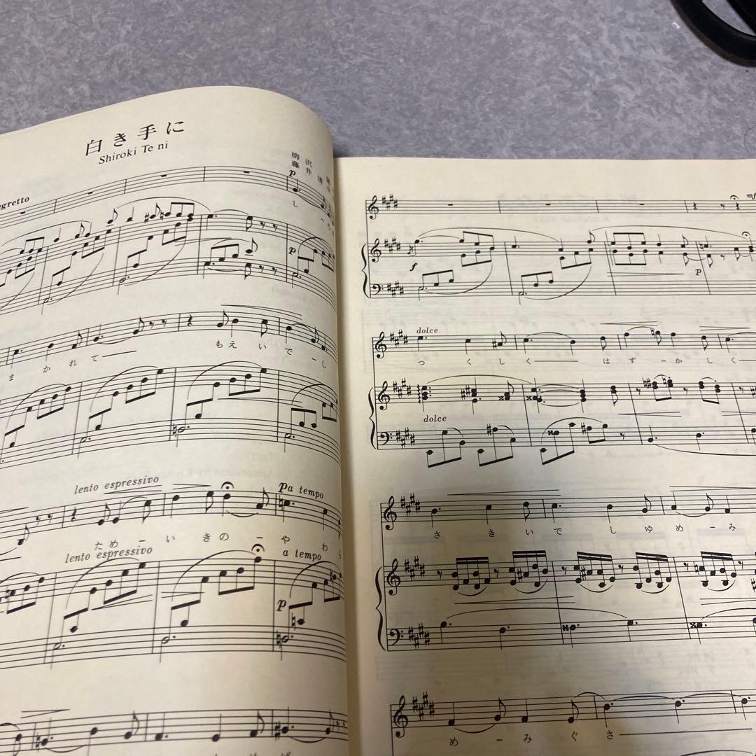 藤井清水歌曲集