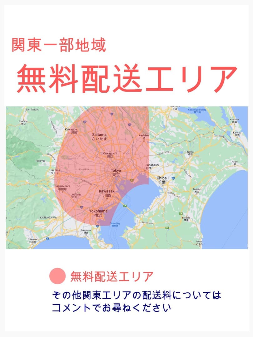 ラクイック20AH！ハイクラス⭐️2019年ギュットアニーズ電動自転車Y3414