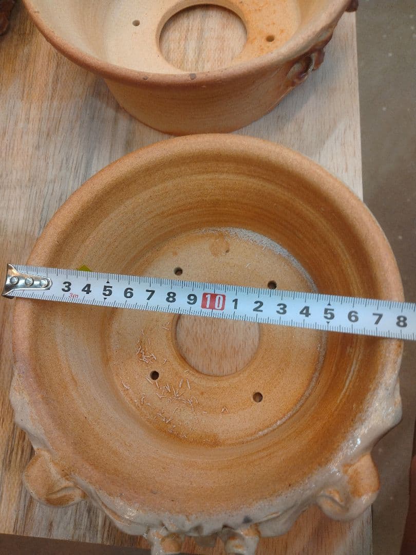 陶器　鉢　アガベ　植物　Japan　history　　Art　culture