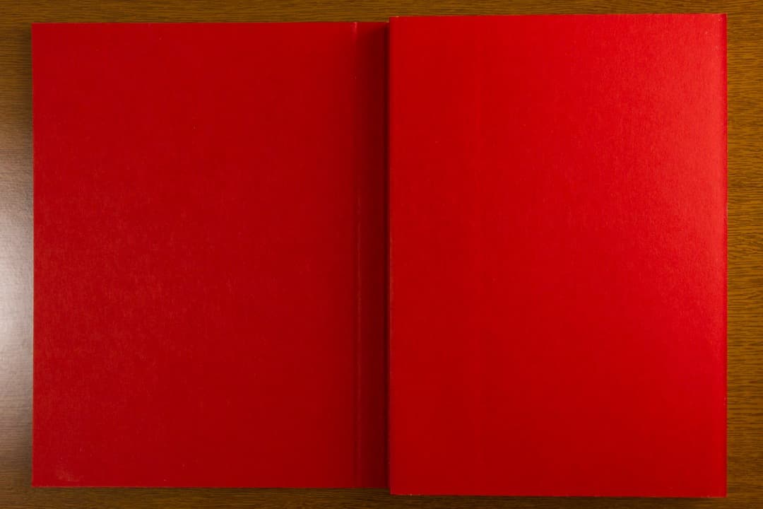 20 世紀美術の探求者　アルベルト ・ジャコメッティ　矢内原伊作とともに