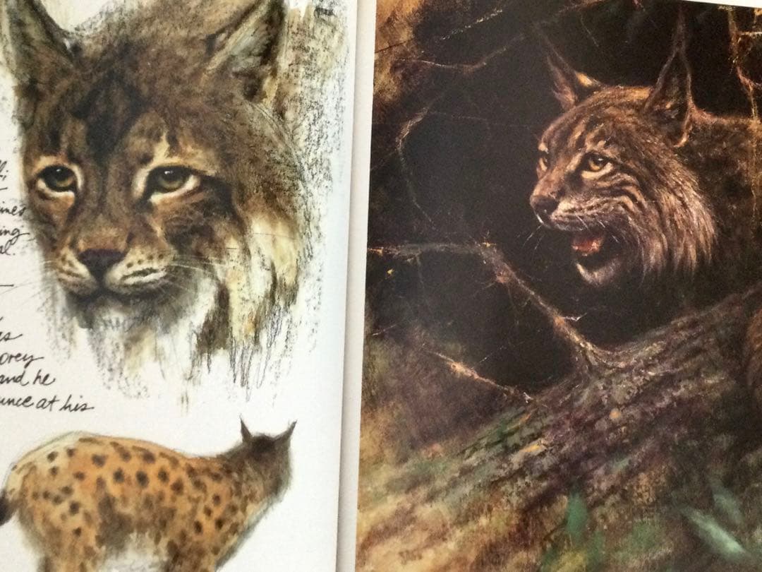 Journey to the Ice Age マンモスとその他の野生の動物