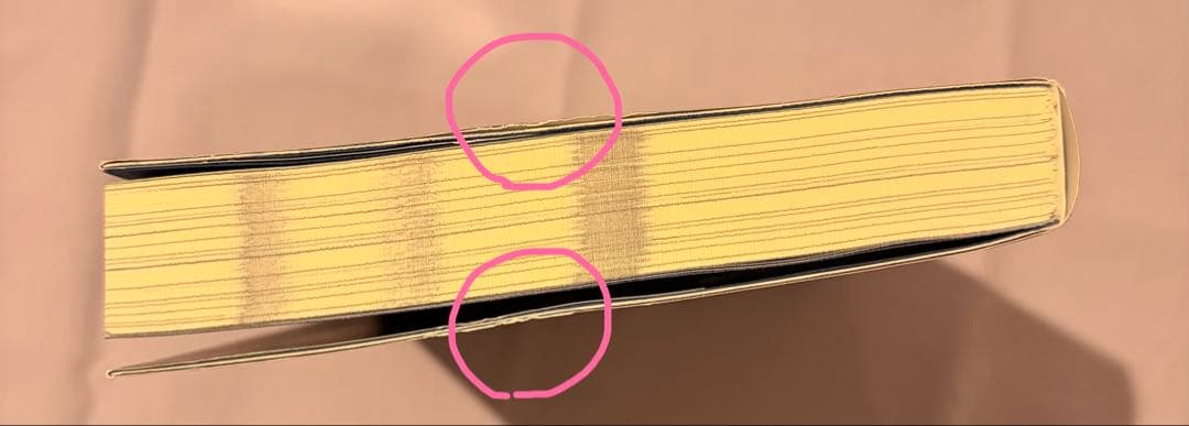 悪徳のジャッジメント　初版　帯付き