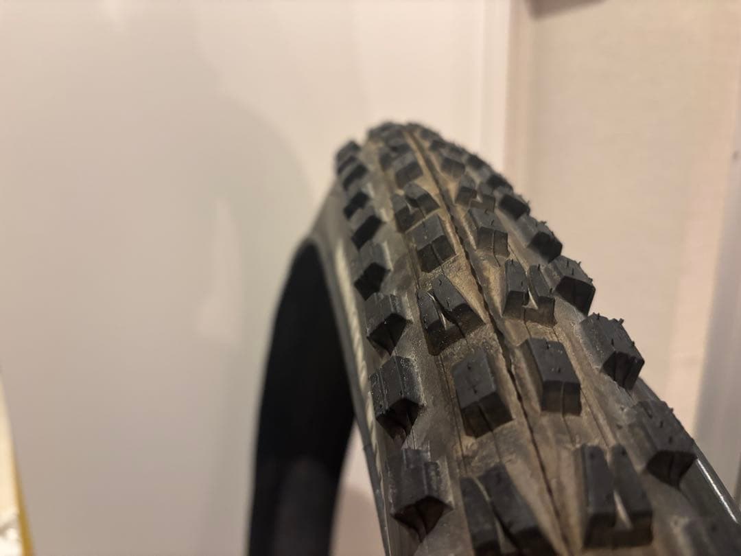 マキシスMAXXISミニオン＆ディセクタ―セット29インチタイヤ2本 MTB