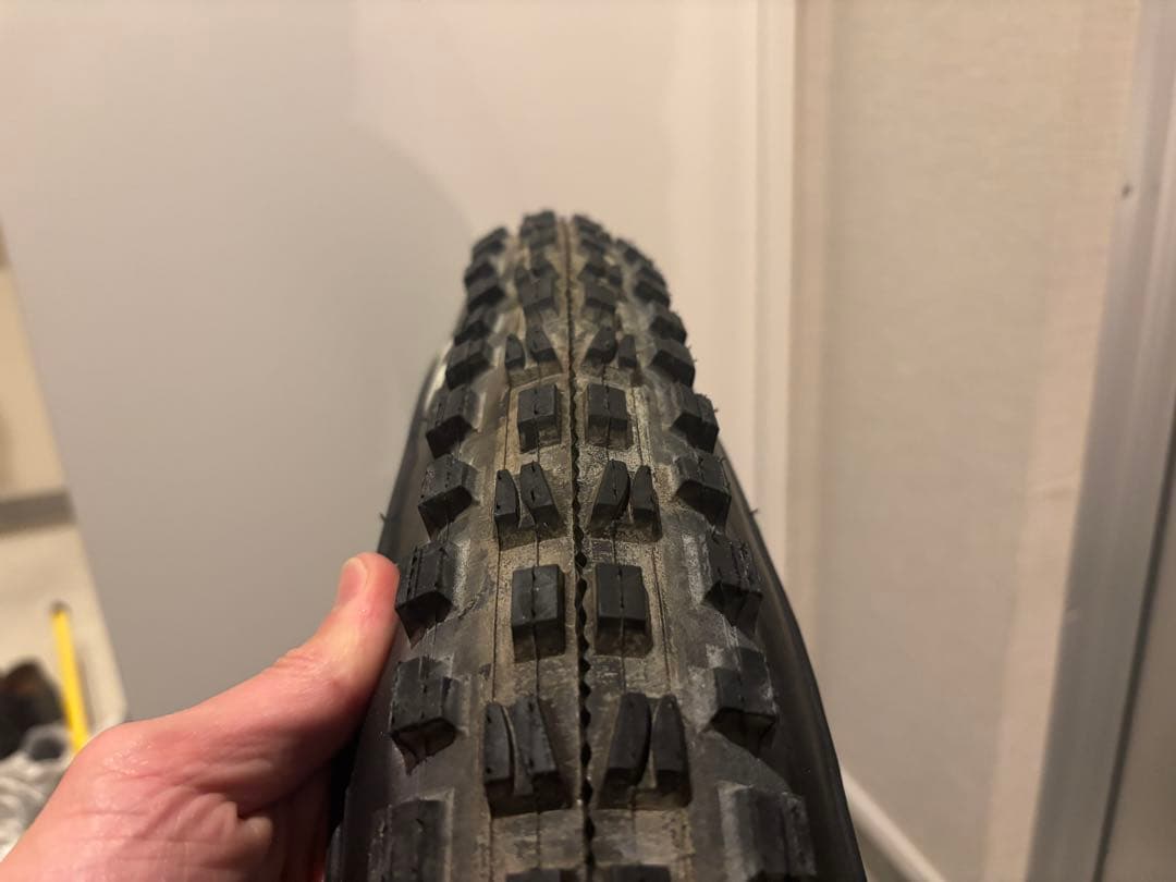 マキシスMAXXISミニオン＆ディセクタ―セット29インチタイヤ2本 MTB