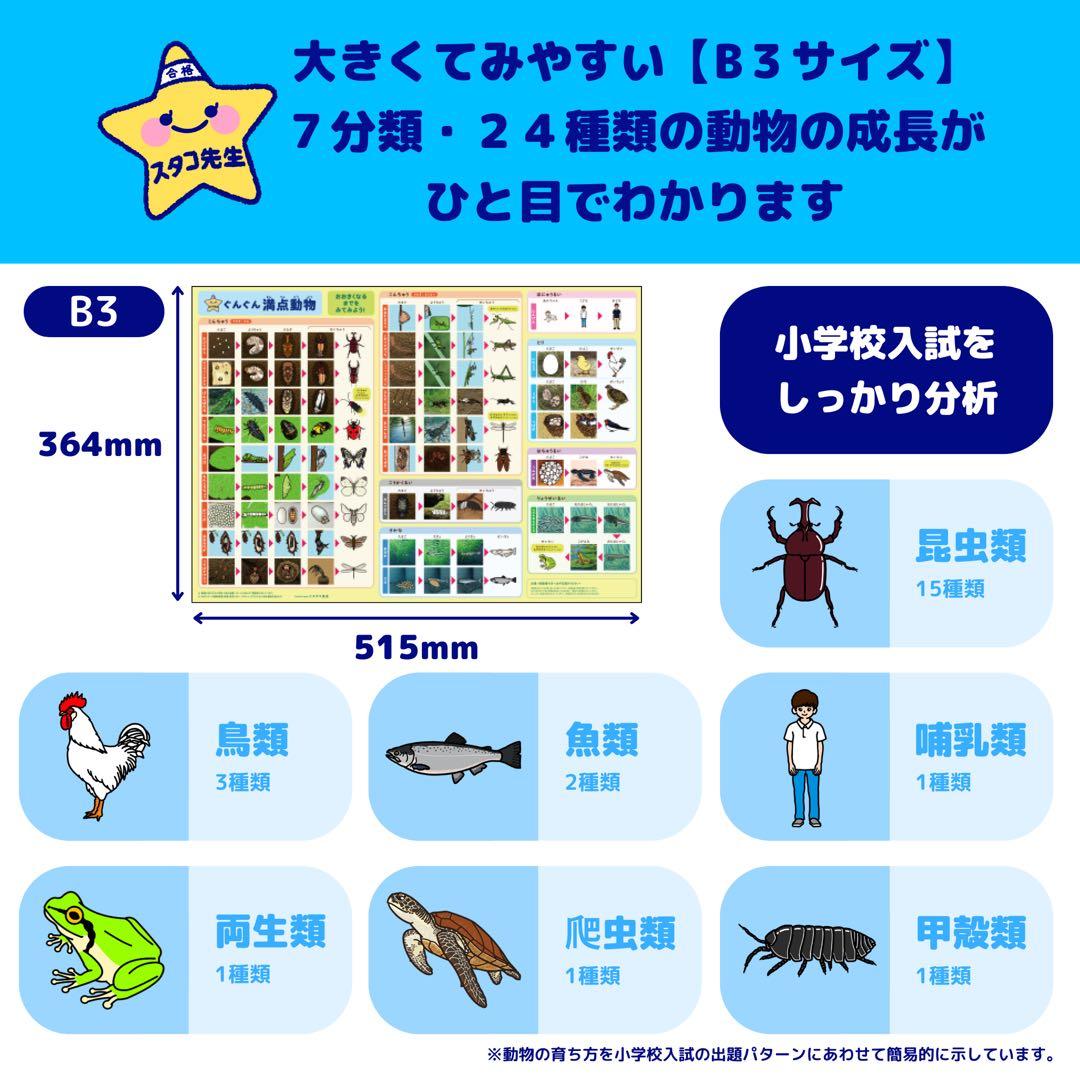 小学校受験　季節　季節カード (ミシン目あり) お風呂ポスター　季節のお勉強