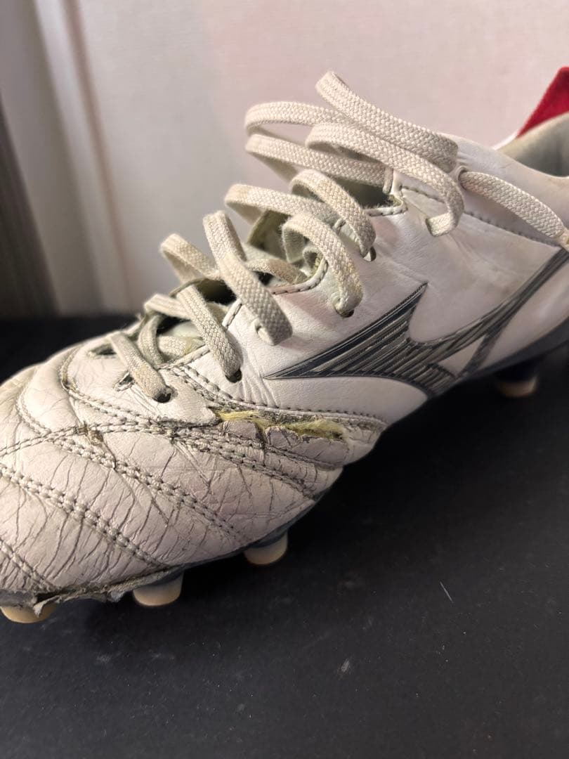 モレリアNEO4 ホワイトBK 24.0