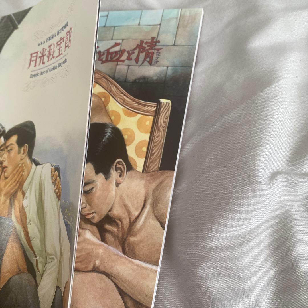 月光秘宝館 石原豪人 林月光 画集 イラスト集