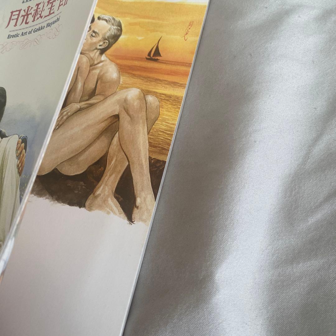 月光秘宝館 石原豪人 林月光 画集 イラスト集