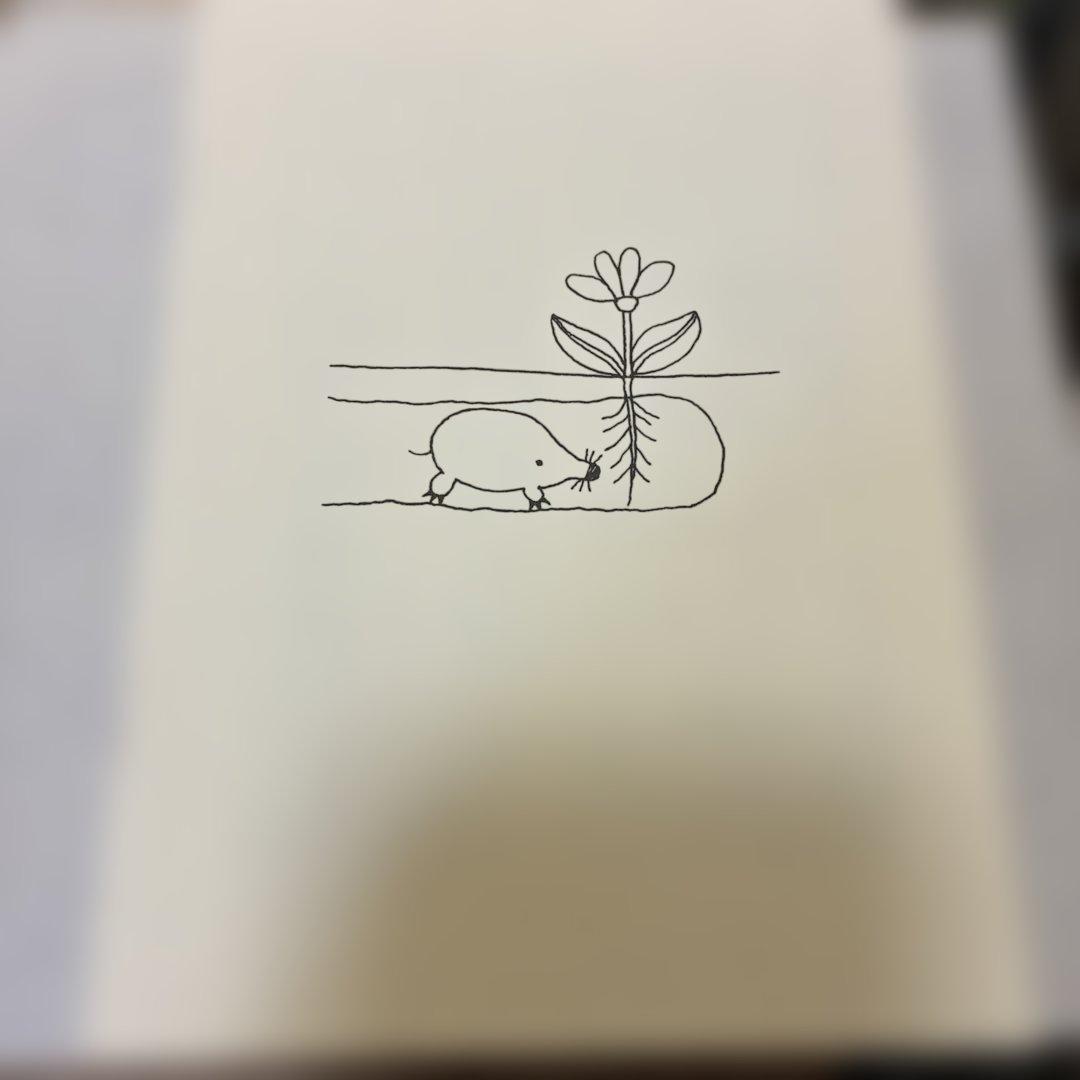 和田誠私家版絵本ボックス