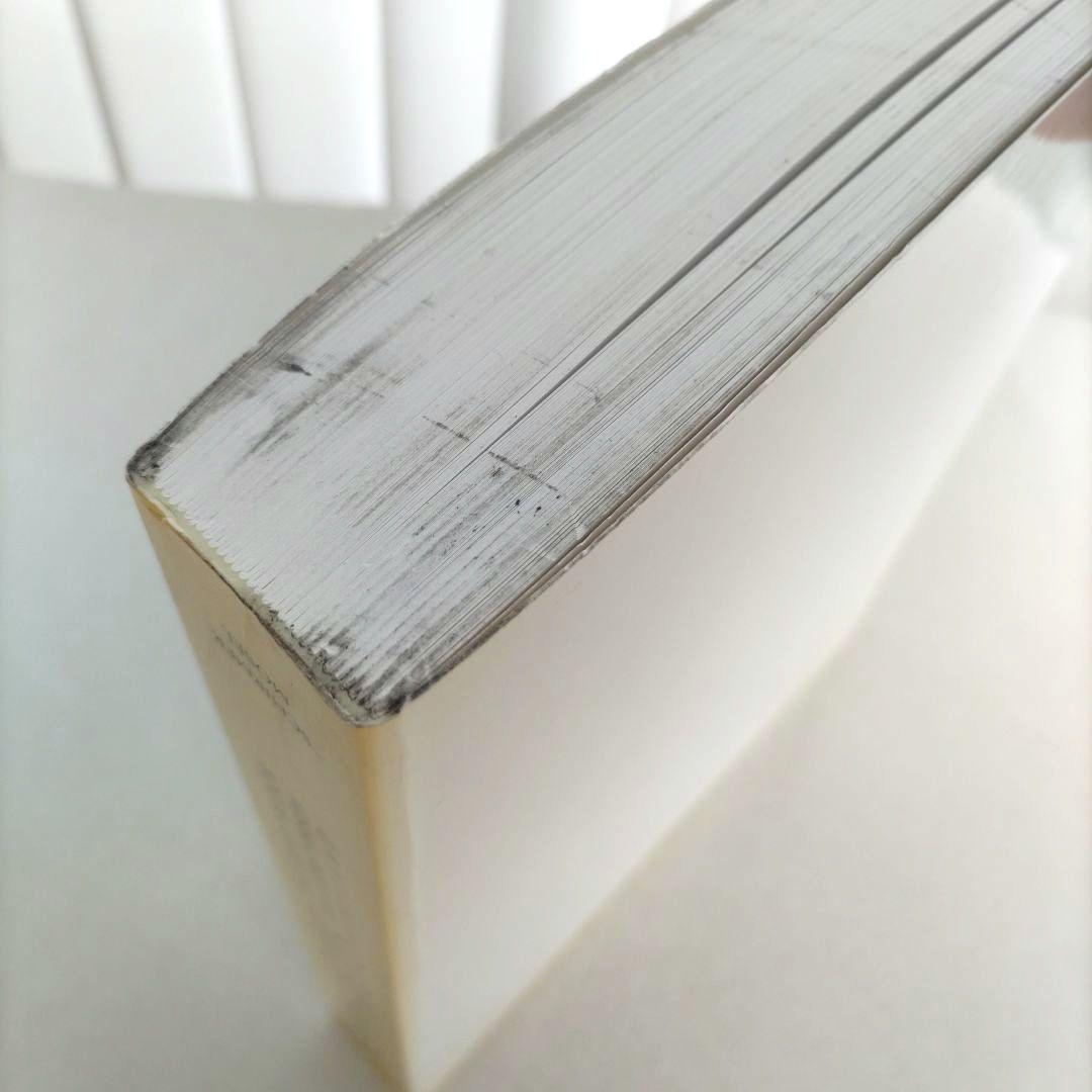 Joseph Beuys/ヨーゼフ・ボイス 作品集 ドローイング