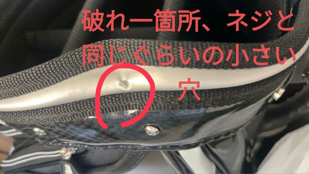 訳あり未使用品即発送●タイトリストキャディバッグ