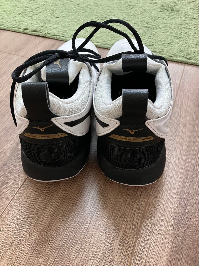 ミズノ バレーボールシューズ ウェーブモメンタム2 　27.0cm