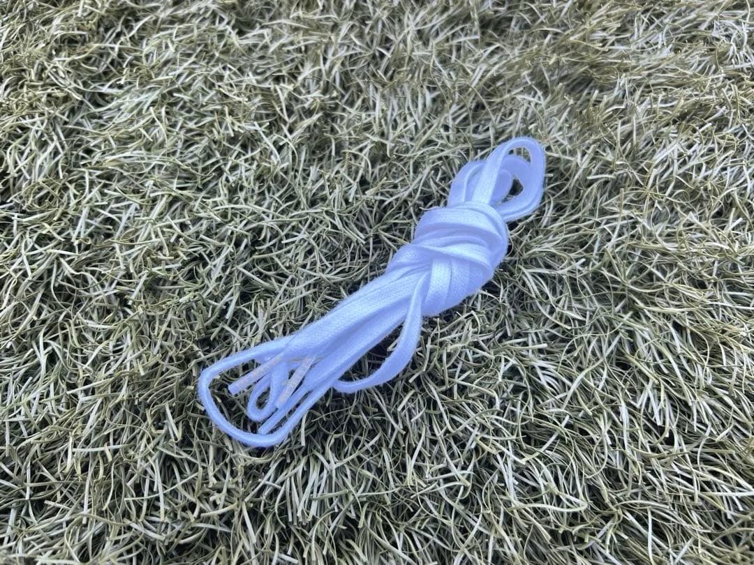 Mizuno モレリアⅡ