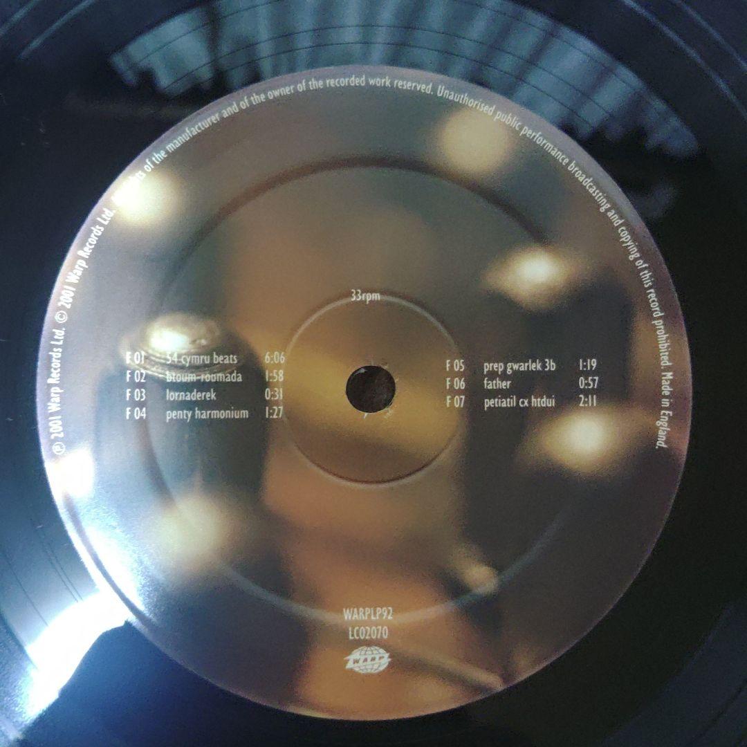 稀少01年　極美品　Aphex Twin 「Drukqs」　ジャケット無し