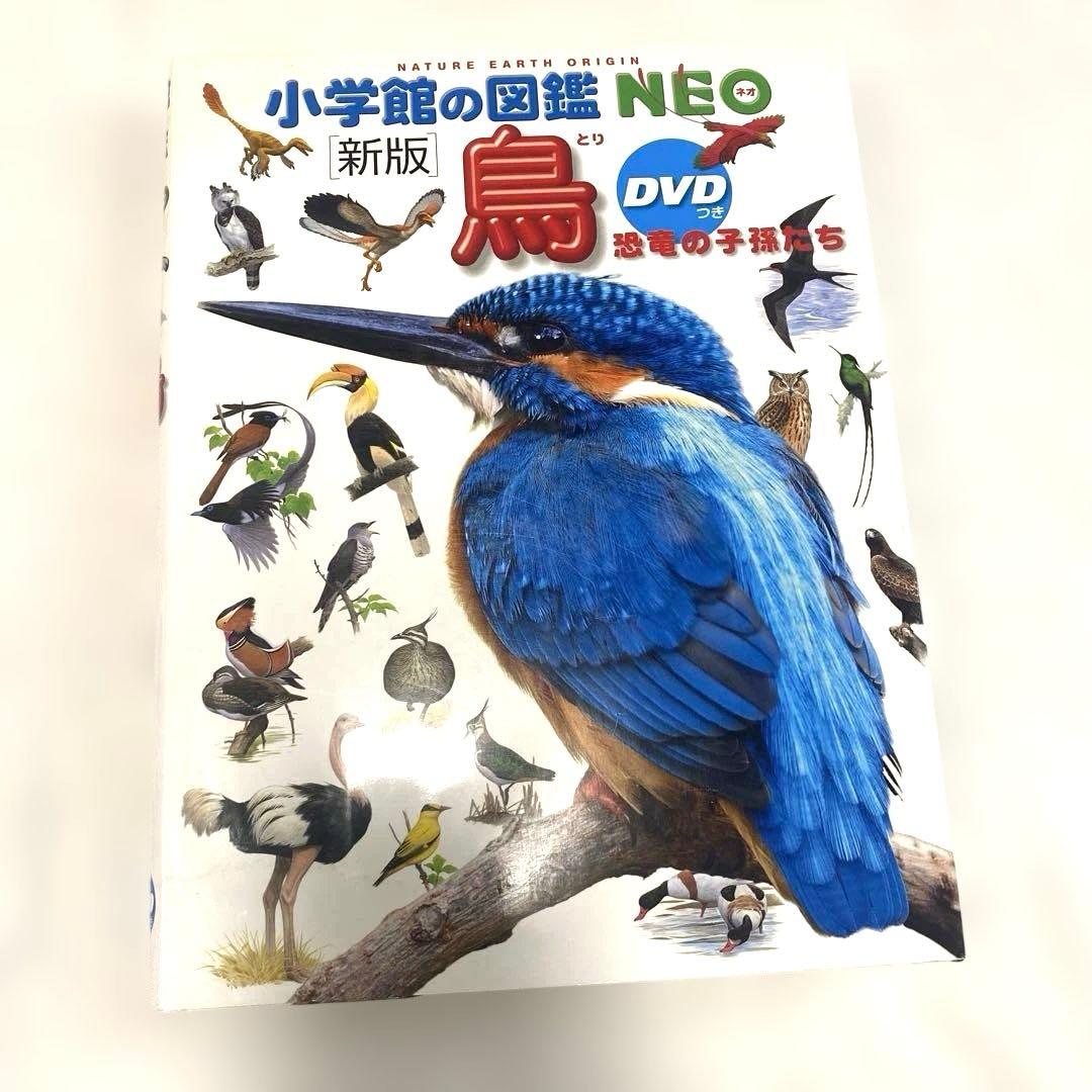 小学館の図鑑NEO 7冊セット DVD付