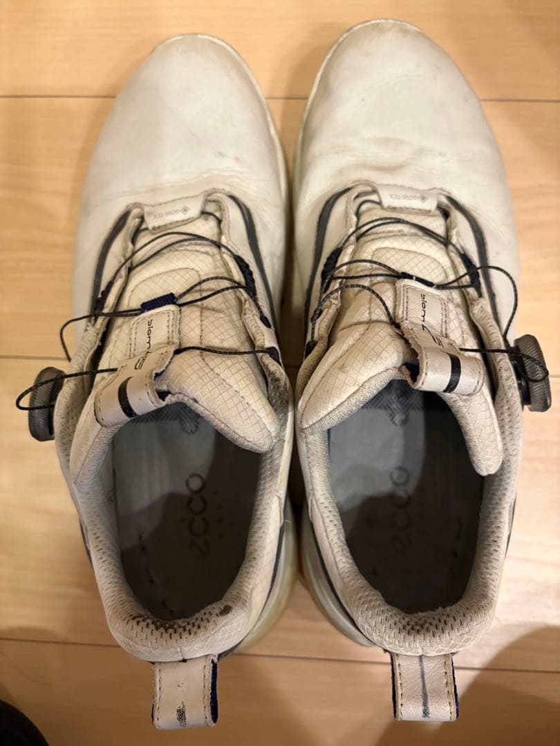 エコー　ゴルフシューズ　3足セット　41