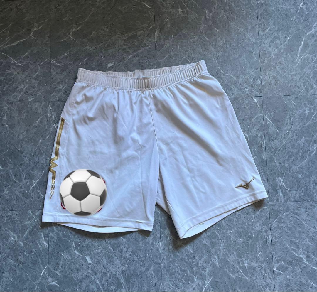 矢板中央高校 青白練習着上下セット