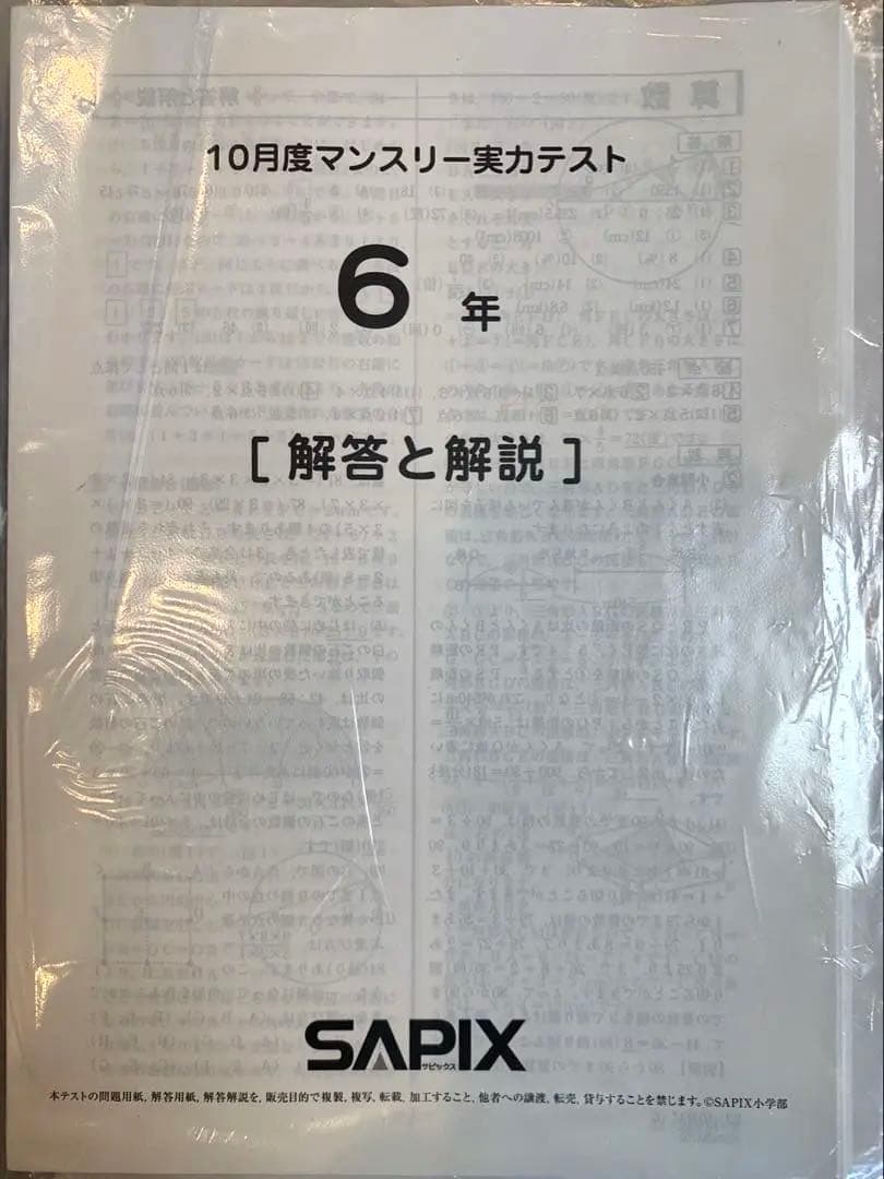 【るりま様】SAPIX 6年生 2023年度 マンスリー・組分け他テストセット