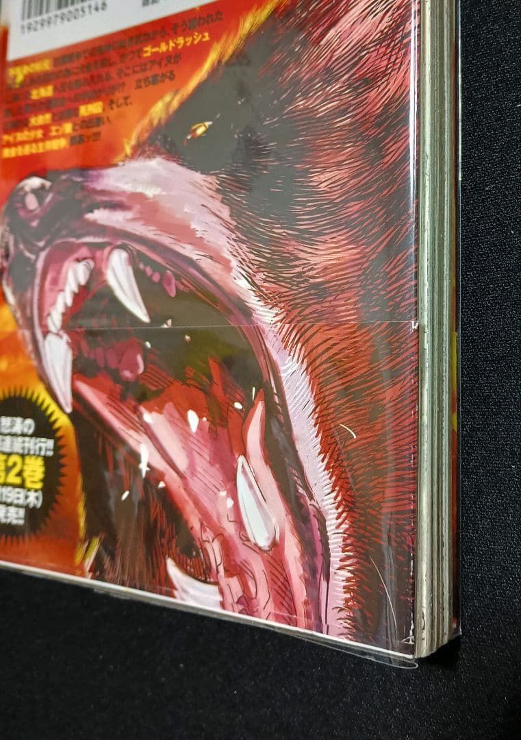 【全巻初版】ゴールデンカムイ1〜31巻＋関連本