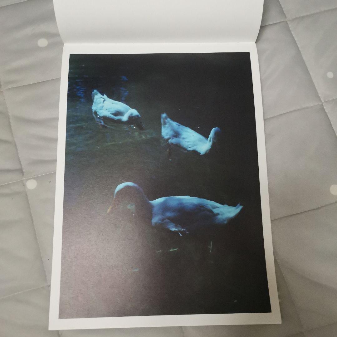 アート・デザイン・音楽 erik gustafsson, a house of clay