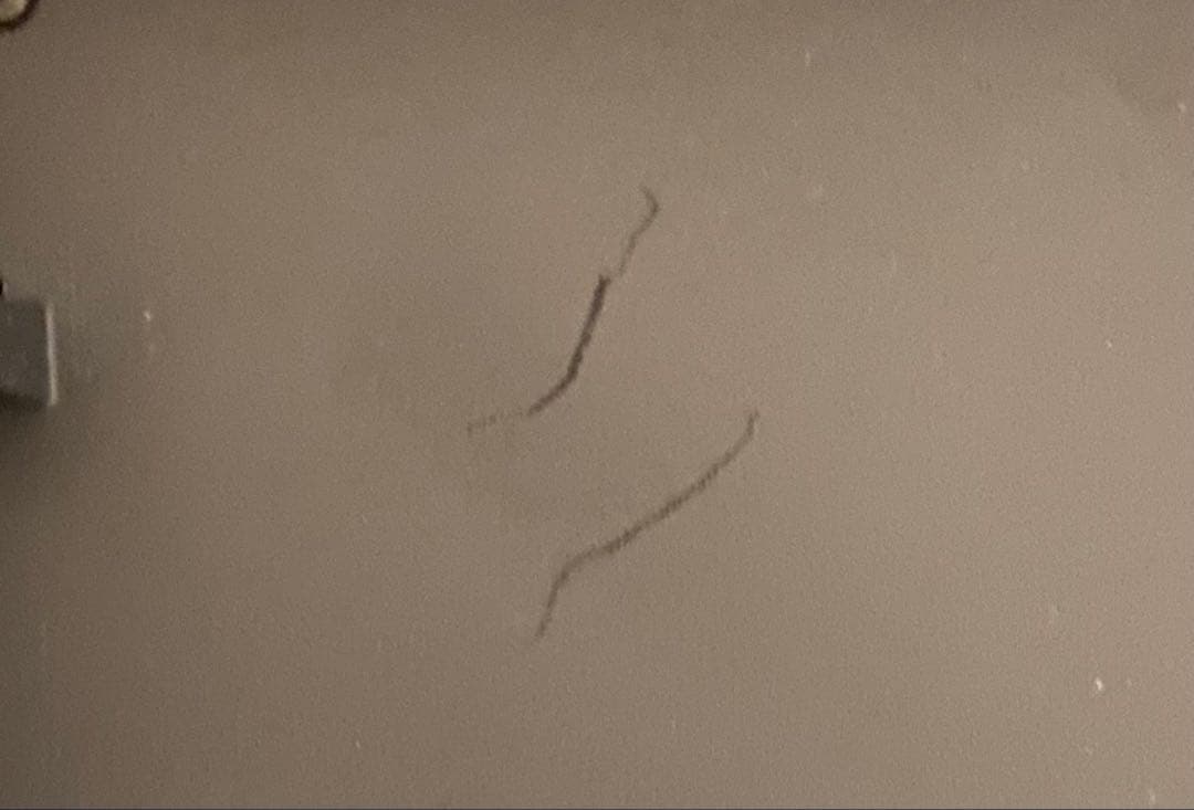 Nintendo Switch本体セット　ソフト4付き★正動品