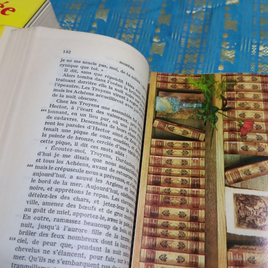 フローベール 古典文学作品集　フランス語