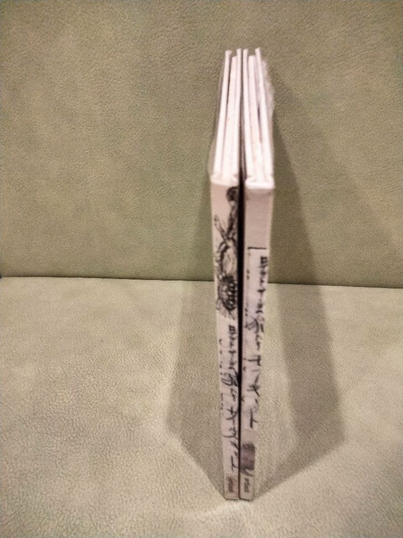 絵本　ロナルド・サール　モア・キャット　サールズ・キャット　猫　ネコ　ねこ