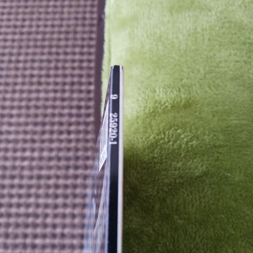 Steve Stevens Atomic Playboys US盤レコード